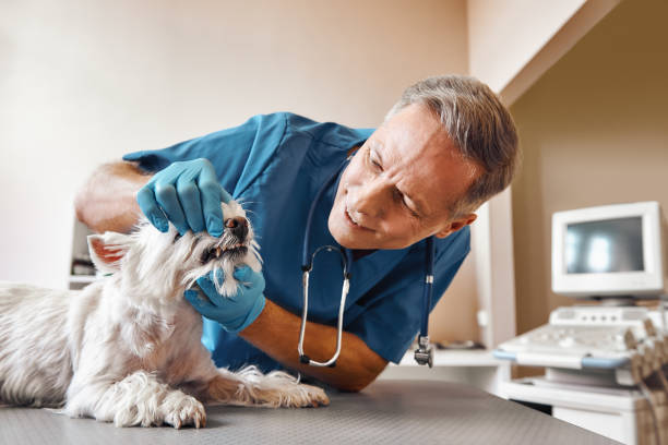 Best Emergency Dental Extractions in Hawthorne, CA